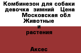   Комбинезон для собаки (девочка) зимний › Цена ­ 350 - Московская обл. Животные и растения » Аксесcуары и товары для животных   